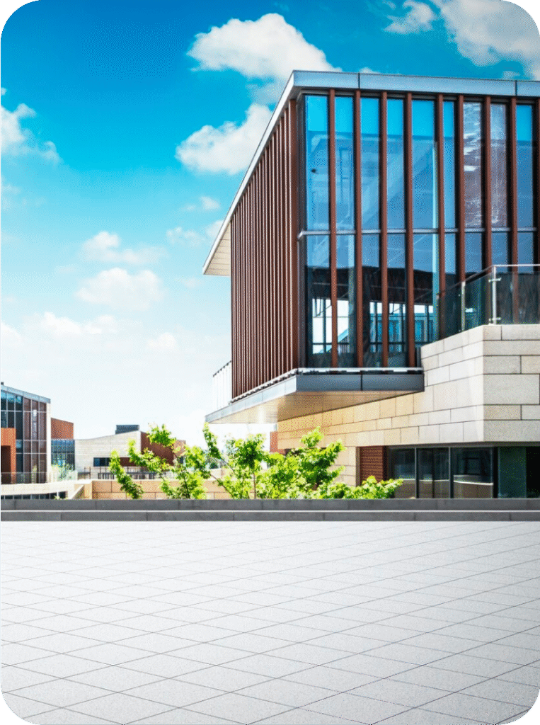 Study Abroad Consultancy